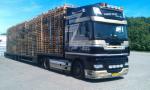alle soorten pallets hout kunstof heel of kapot